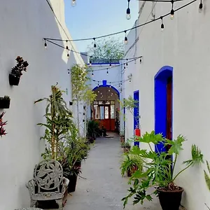 Ikali Monterrey